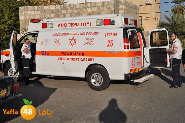 snakeluds310 (13).JPG